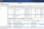 Document Versions